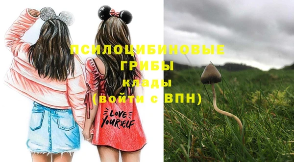 СК Бронницы