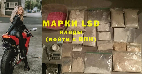 ешки Бородино