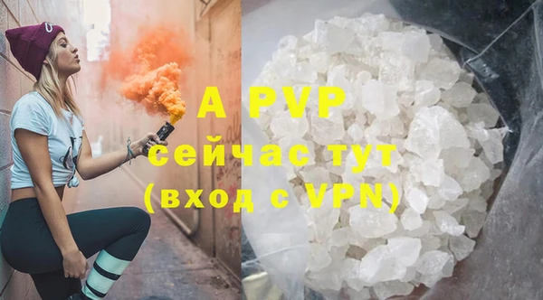 СК Бронницы